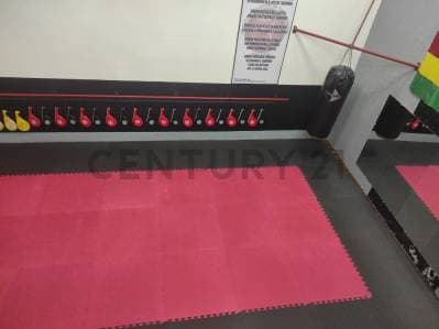 Foto de OPORTUNIDAD DE INVERSIÓN – GIMNASIO EN VILLA COPACABANA