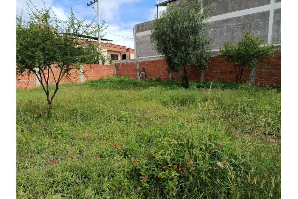Foto de Terreno en Alquiler - Barrio Morros Blancos
