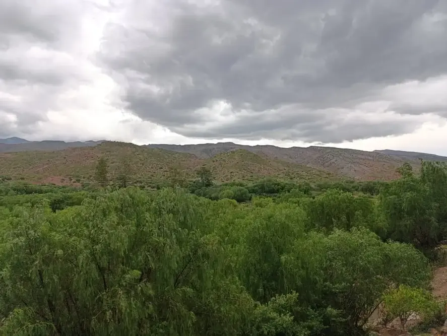 Foto de VENTA DE BODEGA DE SINGANI - SAN REMO